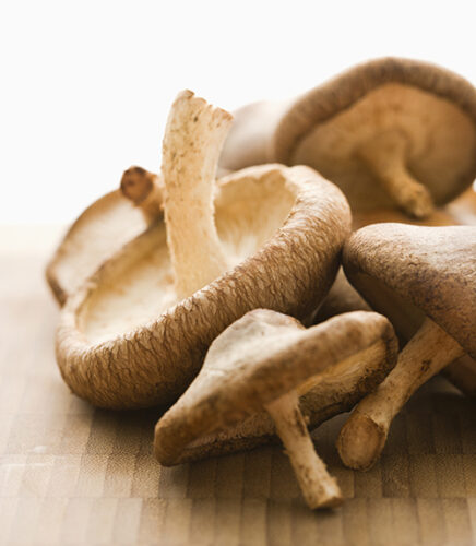 Mushrooms Muster Immunity